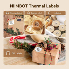 NIIMBOT Clear Label Tape for B21, B1, B3S, K3-10