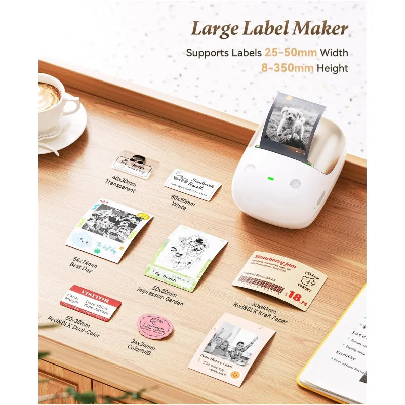 NIIMBOT B2 Pro 300 DPI High Definition, Portable Thermal Label Printer with Fun APP for Photos, Scrapbook, Home,School Oragnization-2