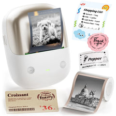 NIIMBOT B2 Pro 300 DPI High Definition, Portable Thermal Label Printer with Fun APP for Photos, Scrapbook, Home,School Oragnization-1