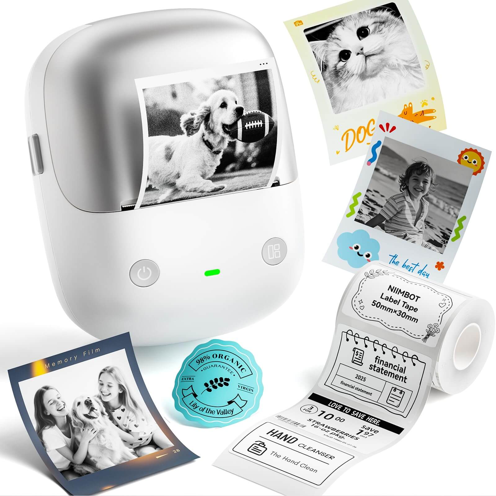 NIIMBOT B2 Pro 300 DPI High Definition, Portable Thermal Label Printer with Fun APP for Photos, Scrapbook, Home,School Oragnization-9